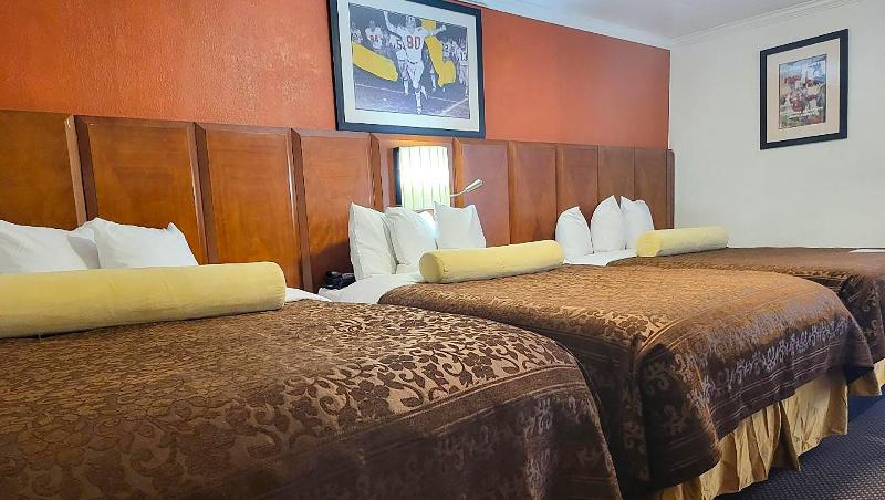 Mountain Star Inn - photo 93