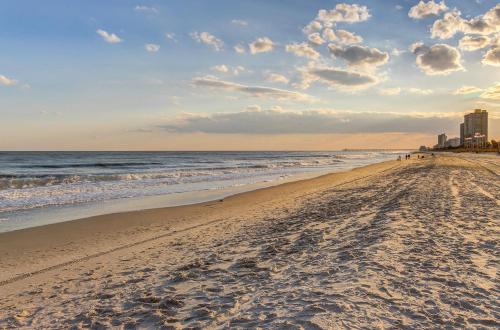 Palm Tree Paradise — Myrtle Beach — photo 2