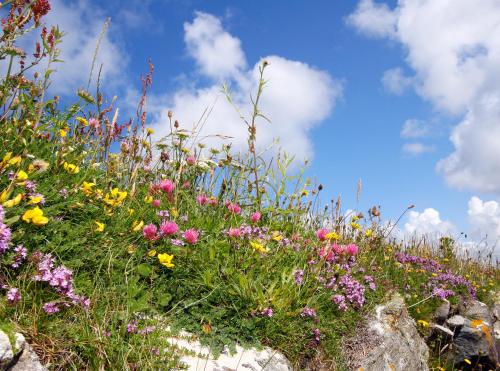 Meadow Cottage — 4-Star Luxury Hotel in Belmullet, Republic of Ireland