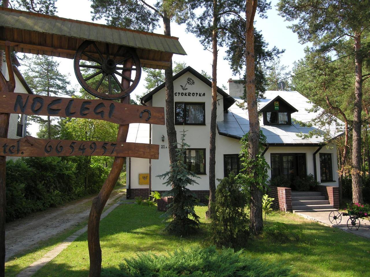 Stokrotka — hotel in Susiec