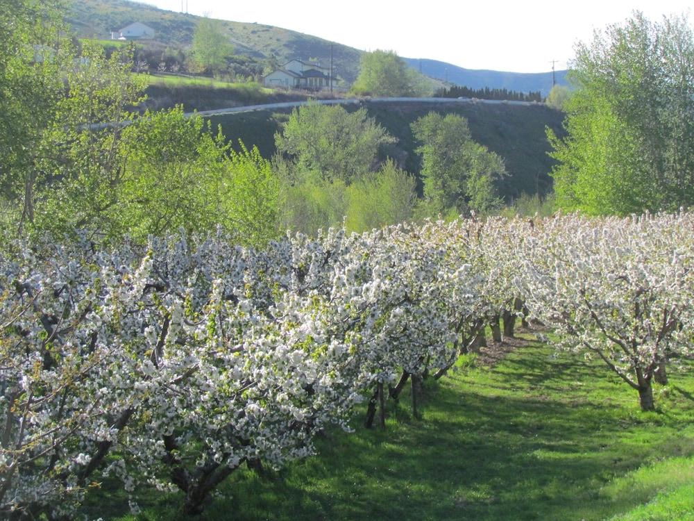 Warm Springs Inn & Winery - photo 45