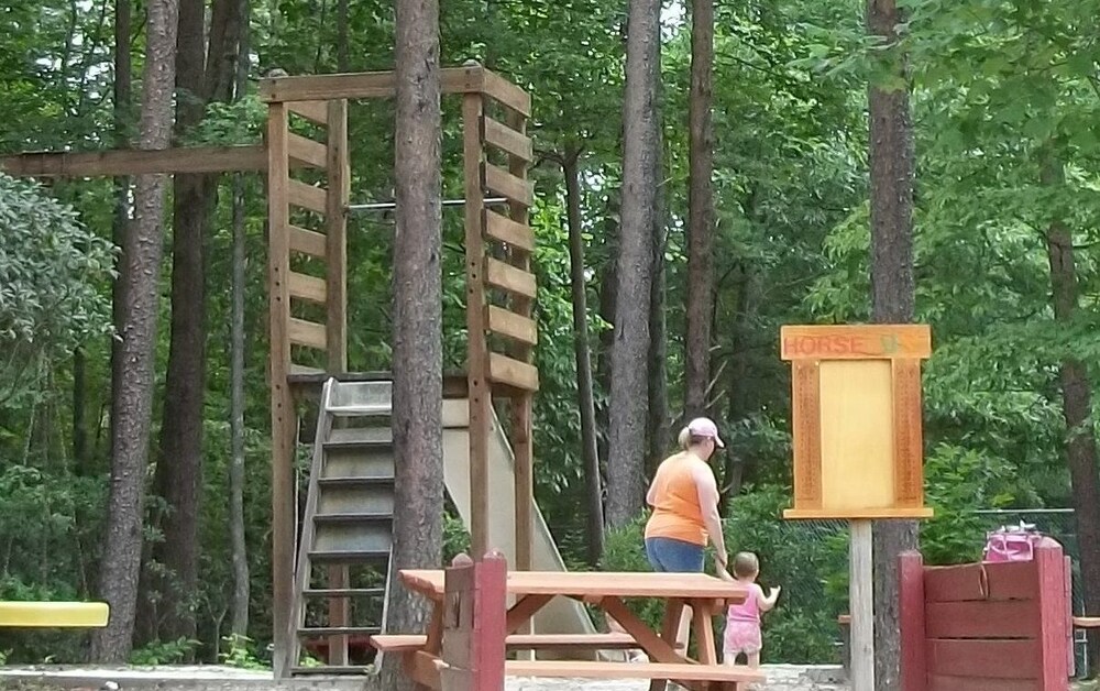Country Hideaway at Mountain Lakes - photo 45