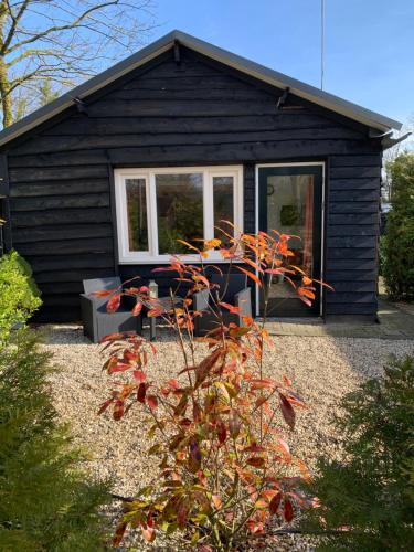 Veluwse Bos en Heide Studio in Otterlo, Netherlands