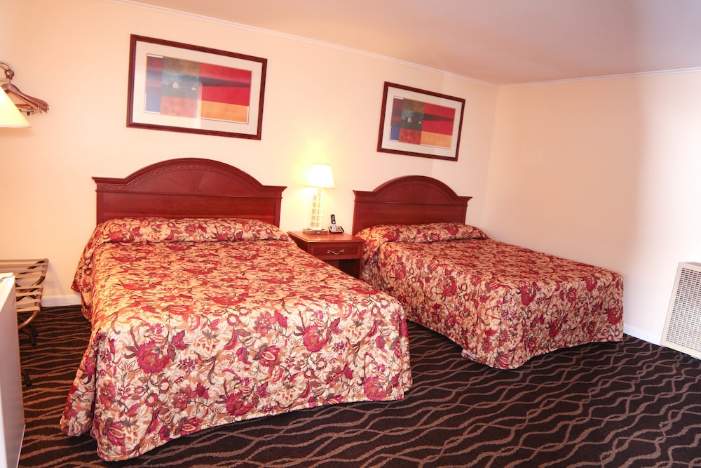 Willows Motel Williamstown - photo 11