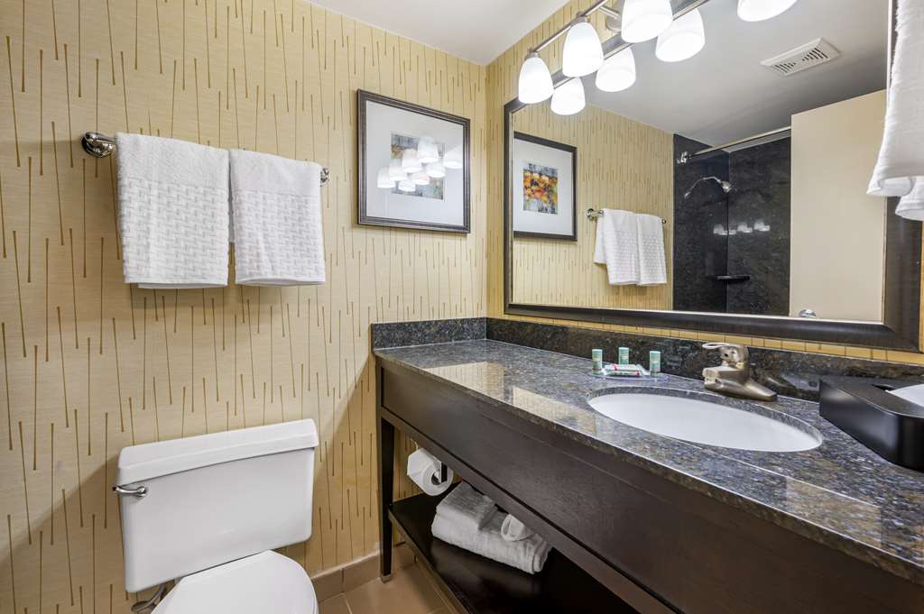 Best Western Chicago Downers Grove - photo 33