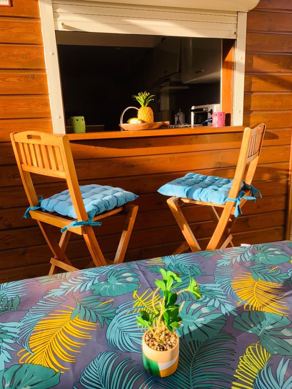 Le petit COSY à 10 min de la plage — 4-Star Luxury Hotel in Le Gosier, Guadeloupe