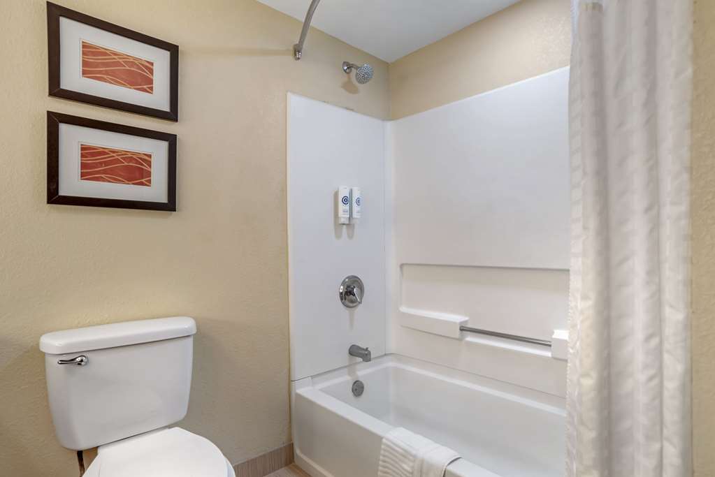 Comfort Inn Opelika Auburn - photo 17