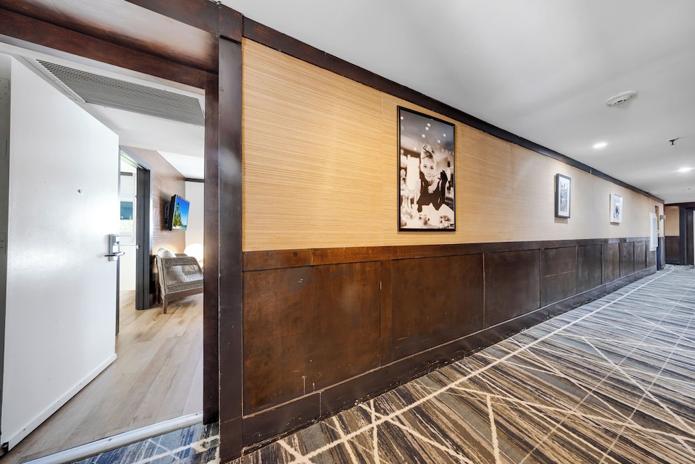 The Shoreline Suites - photo 38