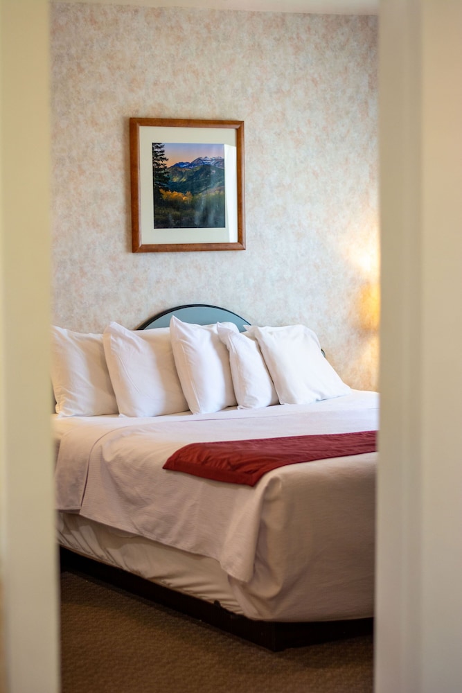 Swiss Alps Inn - photo 9