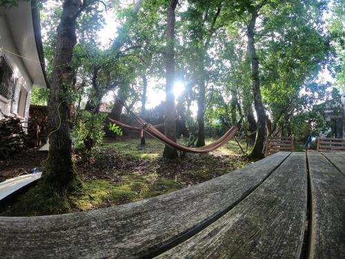 Surfhouse a Proximite Des Spots de Surf in Capbreton, France