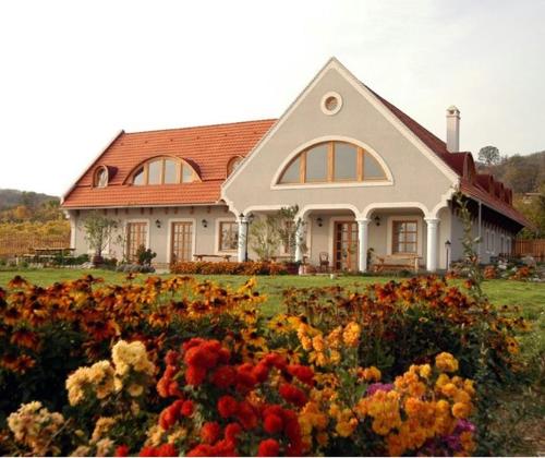 Koczor Winery & Guesthouse — 4-Star Luxury Hotel in Balatonfured, Hungary