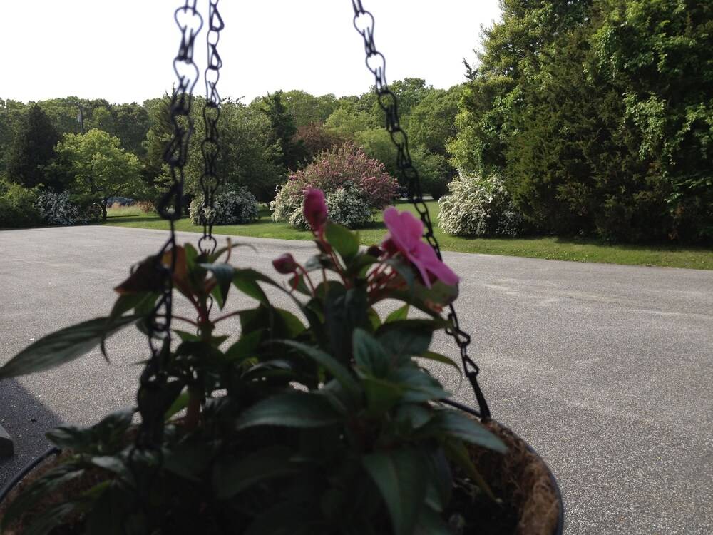 Westhampton Seabreeze Motel - photo 23