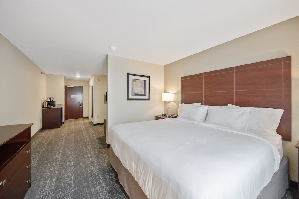 Cobblestone Hotel & Suites Austin - photo 22
