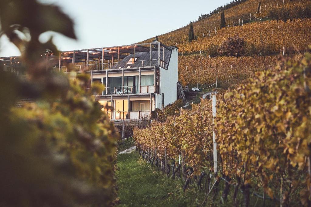 Haller Suites & Restaurant — Bressanone — photo 2