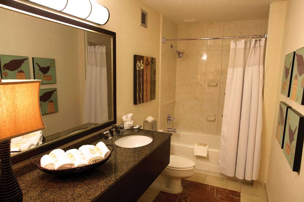 Sonesta Atlanta Airport North - photo 11