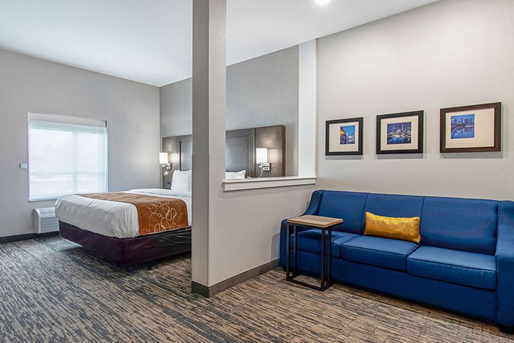 Comfort Suites Grove City Columbus South - photo 11
