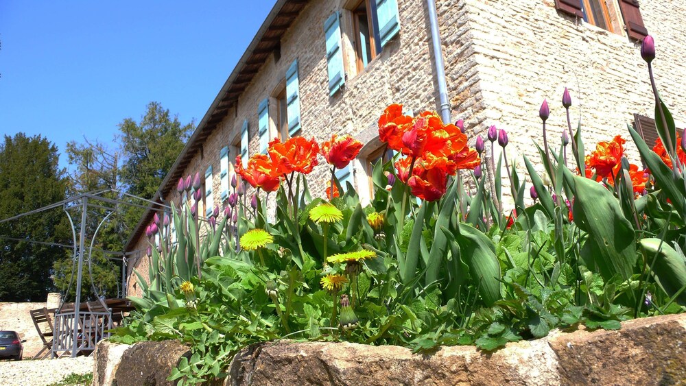Domaine du Vernay — hotel in Cluny