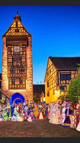 Charme Detente Et Vue Imprenable En Centre Ville in Riquewihr, France