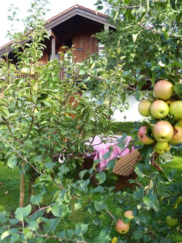 Haus Fellner — Brannenburg — photo 4