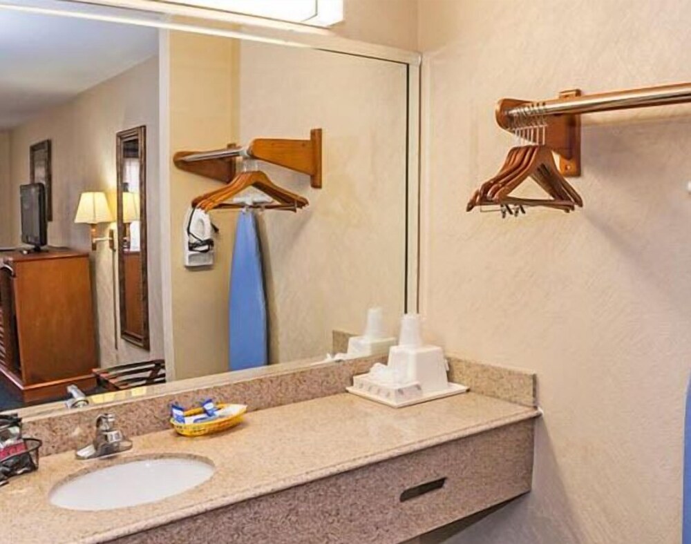 Downtowner Inn and Suites Hobby - photo 12