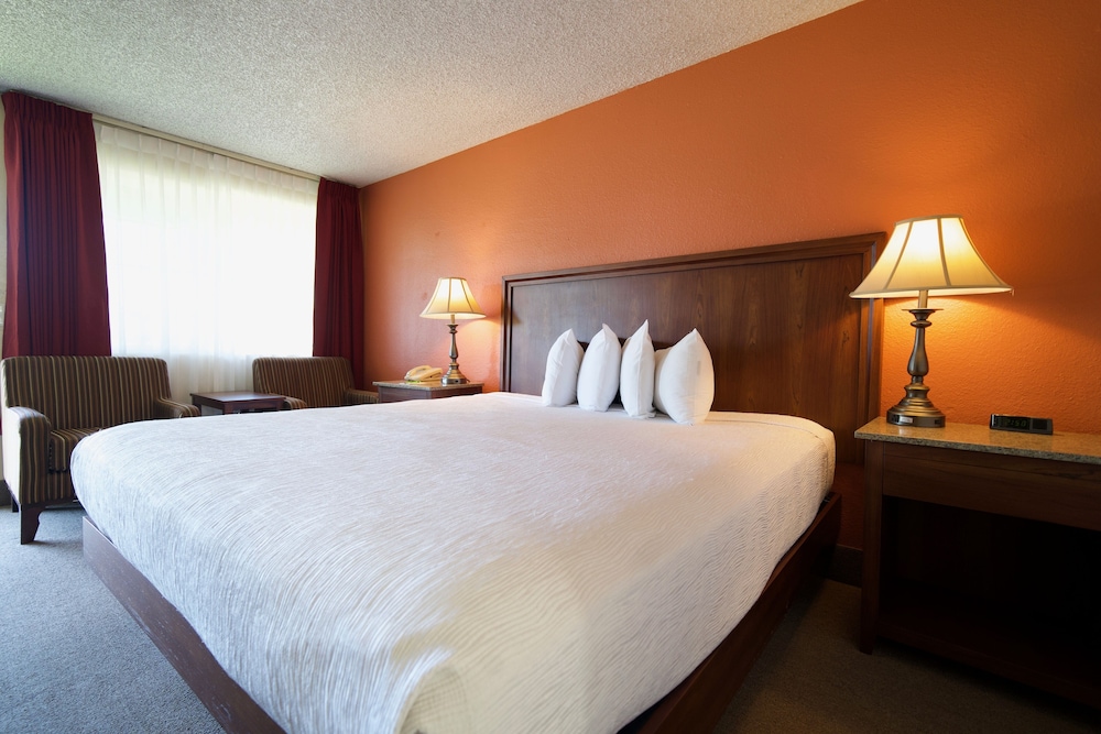 Village Inn Springfield - photo 17