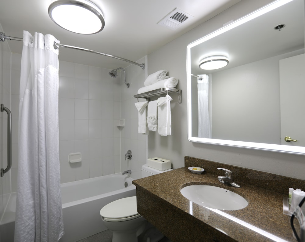 Holiday Inn Chicago O'Hare Area by IHG - photo 40
