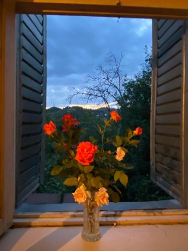 Guest House Shateau