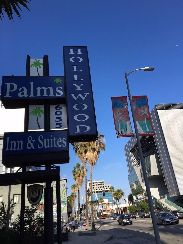 Hollywood Palms Inn and Suites - photo 87