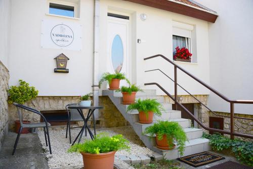 Vadrózsa apartman — Sumeg — photo 2