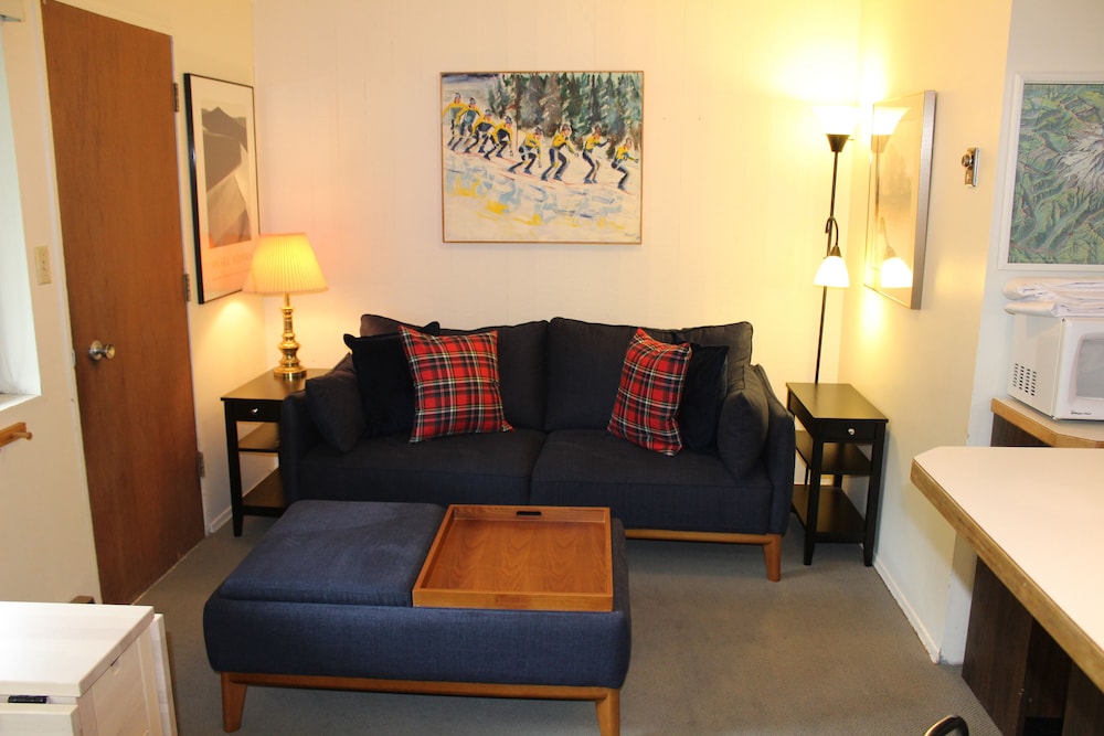 Crystal Chalets Condominiums at Crystal Mountain Ski Resort - photo 131