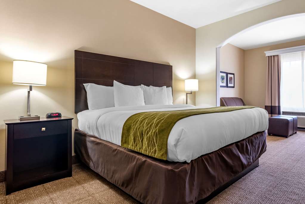 Comfort Inn & Suites Scott West Lafayette - photo 11