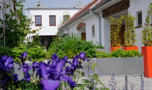 Genuss Am Hof - carbon neutral hotel in Halbturn