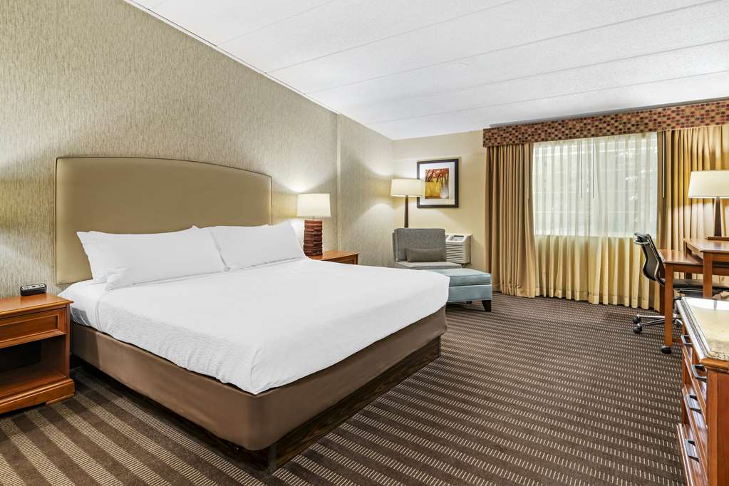 Best Western Springfield Hotel - photo 46