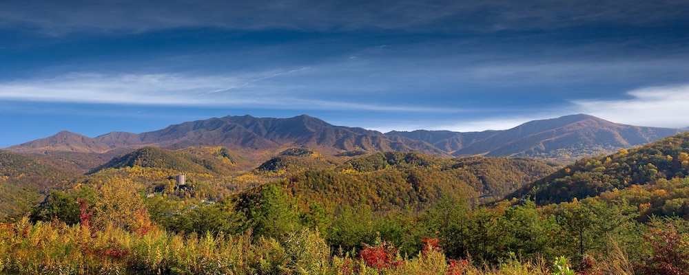 The Park Vista a DoubleTree by Hilton Hotel Gatlinburg - photo 55