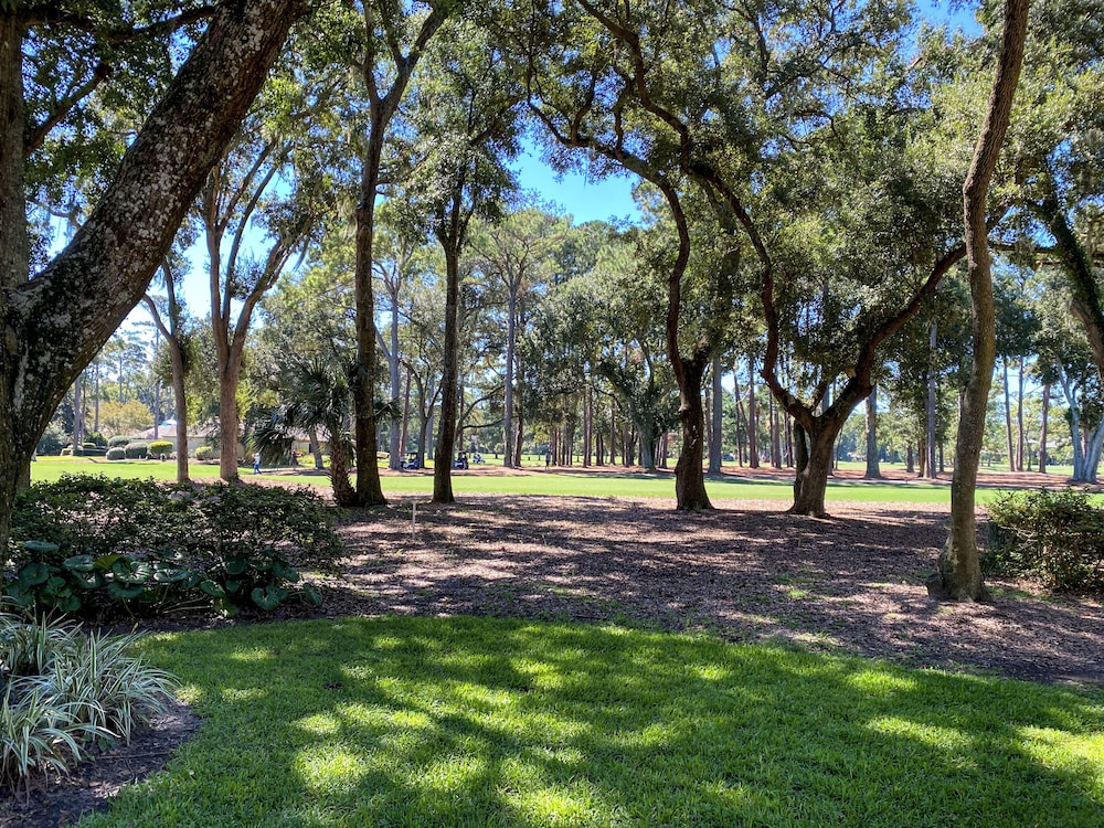 2278 Heritage Villas at the Sea Pines Resort - photo 17