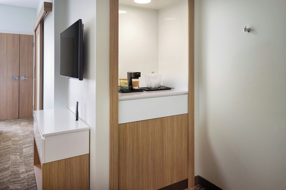 SpringHill Suites by Marriott Ellijay - photo 6