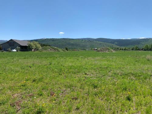Teton Valley Motel - photo 2