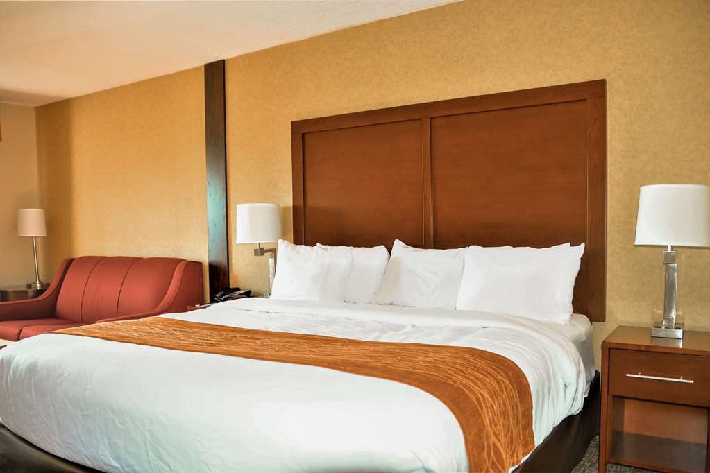 Comfort Inn & Suites Vancouver Downtown City Center - photo 23