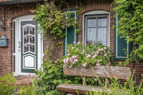 Ferienhaus 50029 — Wittmund — photo 2