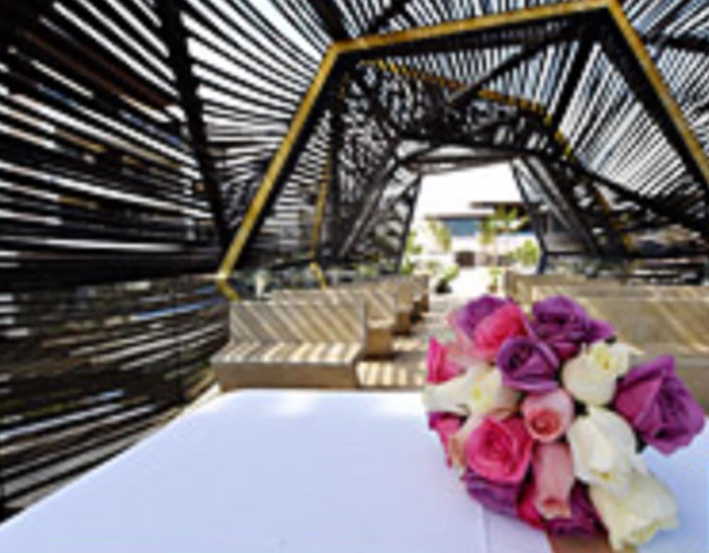 Outdoor wedding area