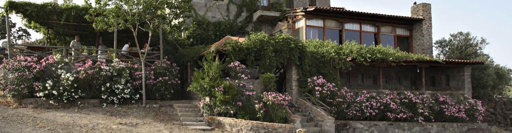 Berceste Hotel in Ayvacik, Turkey