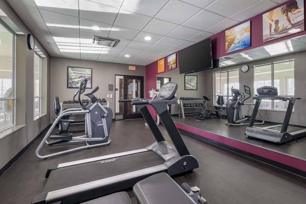 Comfort Inn & Suites West Artesia - photo 28