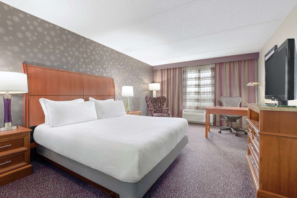 Hilton Garden Inn Springfield MA - photo 6