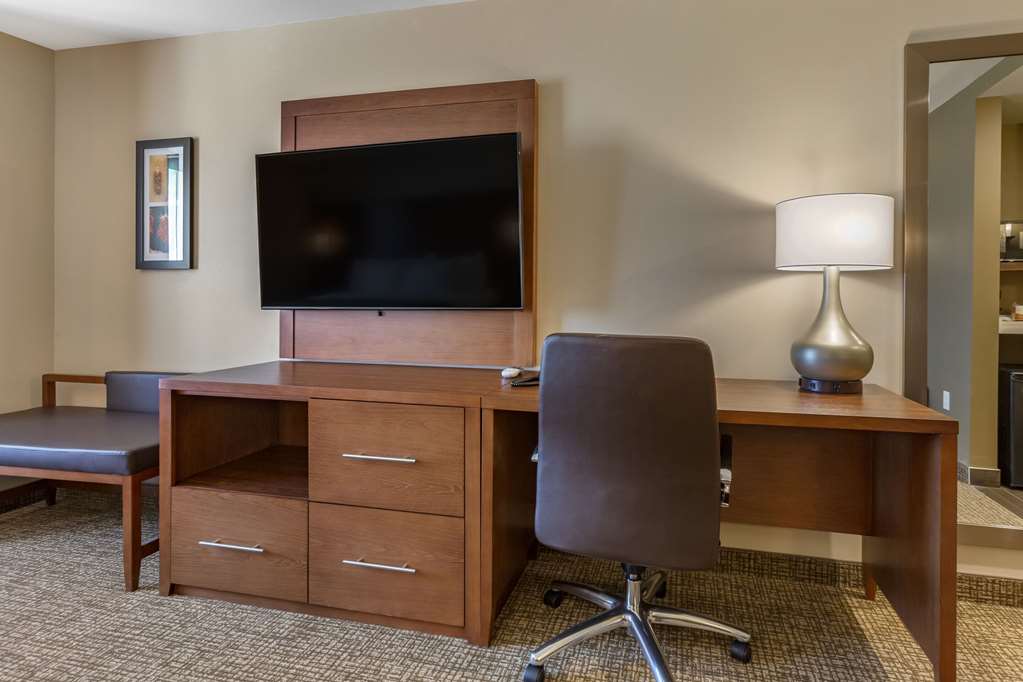 Comfort Suites Albuquerque Airport - photo 7