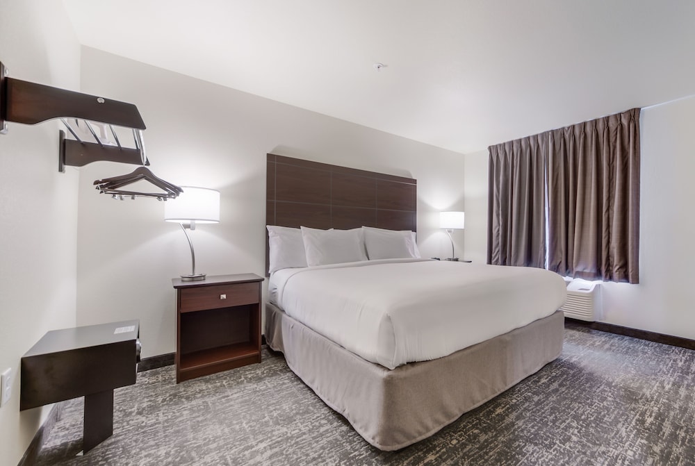 Cobblestone Inn & Suites Fremont - photo 21