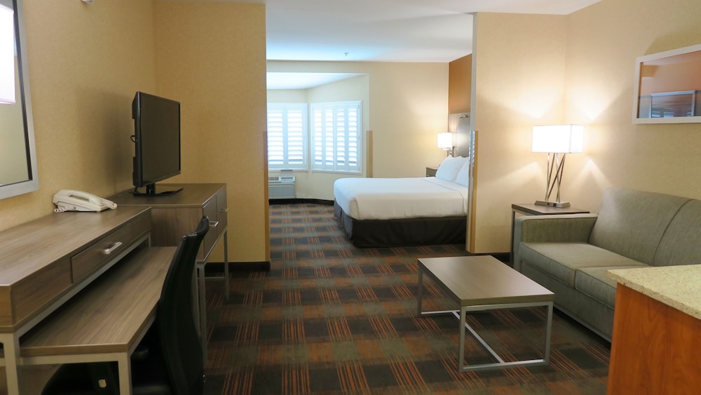 Holiday Inn Express & Suites Elk Grove Central Hwy 99 by IHG - photo 3