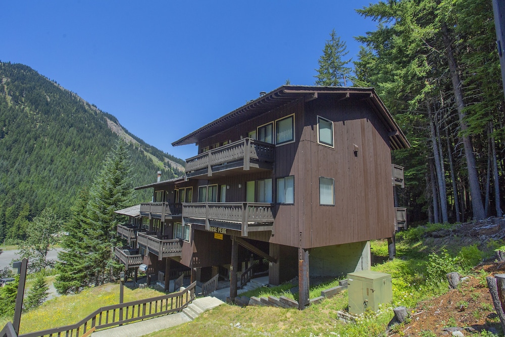 Crystal Chalets Condominiums at Crystal Mountain Ski Resort - photo 165