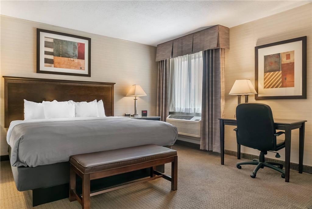 Quality Inn & Suites Next to the Casino — hotel in Battle Creek