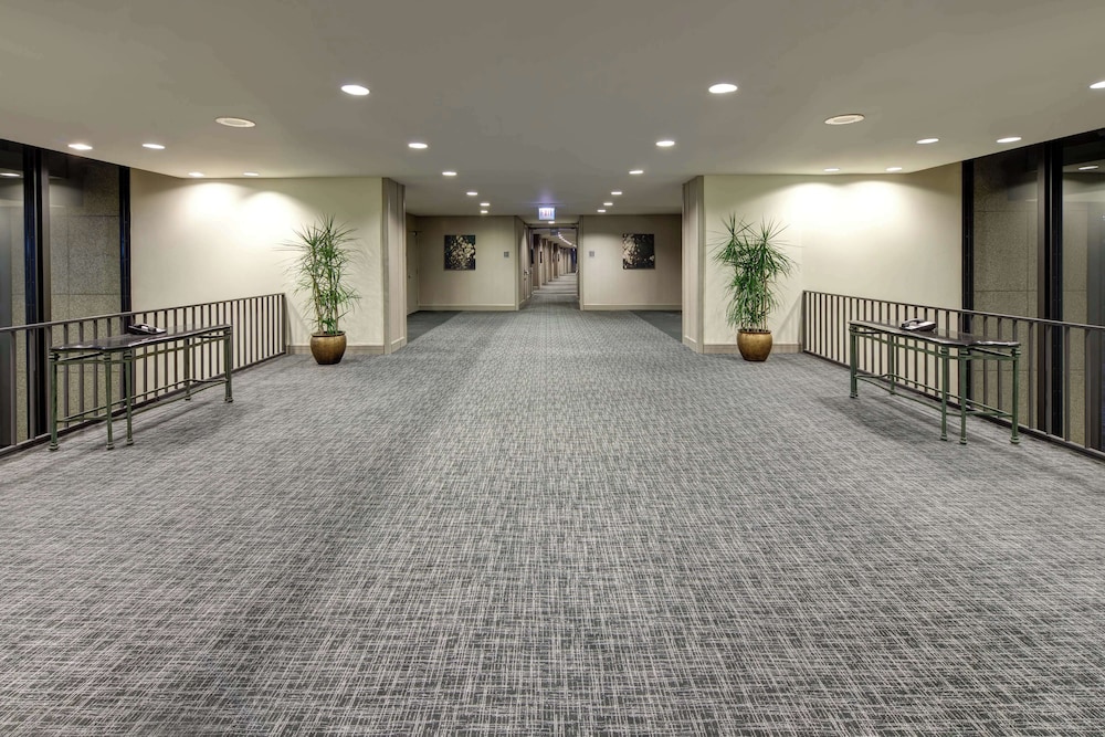 Hilton Chicago O'Hare Airport - photo 74