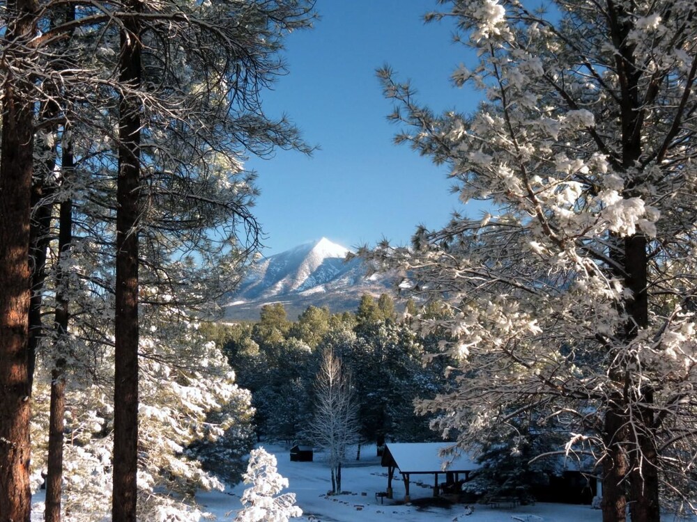 Arizona Mountain Inn and Cabins - photo 162